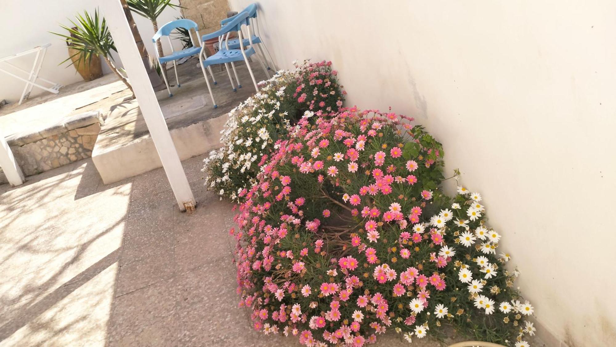 Vila Casa Antonio E Nicoletta Porto Cesareo Exteriér fotografie
